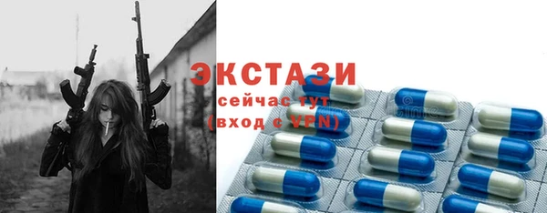 индика Богданович