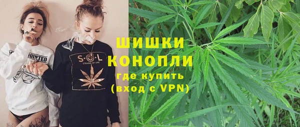 индика Богданович