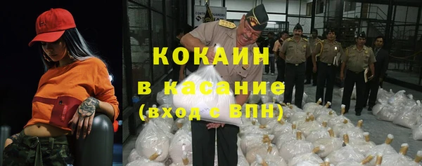 индика Богданович