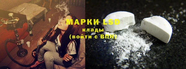 индика Богданович