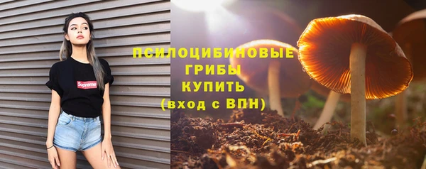 индика Богданович