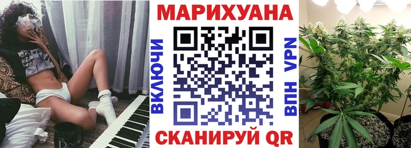 площадка клад  Могоча  Бошки Шишки тримм 